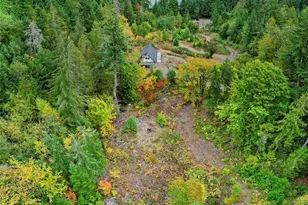304292 Hwy 101, Brinnon, WA 98320 - Photo 28