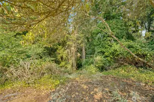 7009 Cameo Dr SW, Lakewood, WA 98498 - Photo 30
