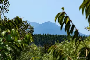 201 Winterhawk St, Sequim, WA 98382 - Photo 40
