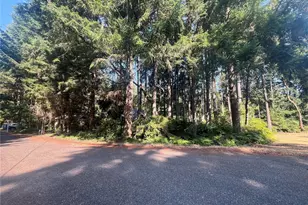 11124 Cole Pl, Anderson Island, WA 98303 - Photo 16