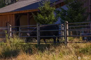 13505 NE Grantham Rd, Amboy, WA 98601 - Photo 28