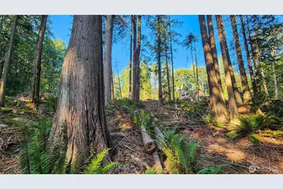18813 126th Street SE, Snohomish, WA 98290 - Photo 8