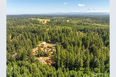 3119 347th Street S, Roy, WA 98580 - Photo 28