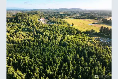 4201 67th Place E, Long Beach, WA 98631 - Photo 2