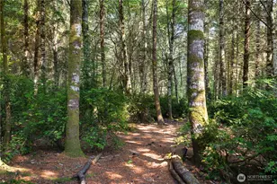 351 E Island Shores Rd, Shelton, WA 98584 - Photo 34