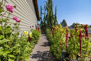 217 Puget St, Sedro Woolley, WA 98284 - Photo 32