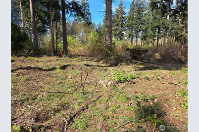 70 B Port Susan Drive, Hat Island, WA 98206 - Photo 6