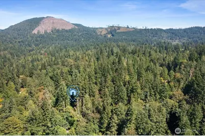 25525 SE Tiger Mountain Road, Issaquah, WA 98027 - Photo 36