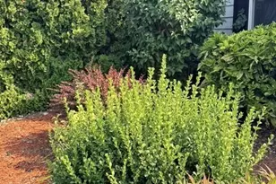 201 Union Ave SE, Renton, WA 98059 - Photo 24