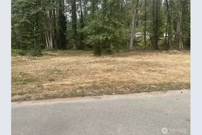 154 Xx SE Jones Road, Renton, WA 98058 - Photo 6