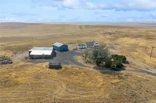 11993 Stone Road N, Harrington, WA 99134 - Photo 30