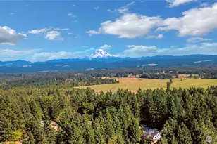 24507 107th Ave Ct E, Graham, WA 98338 - Photo 20