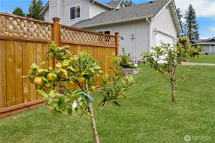 7815 116th St Ct E, Puyallup, WA 98373 - Photo 28