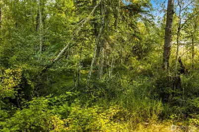 11817 288th Street E, Graham, WA 98338 - Photo 8
