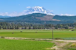 18213 & 18307 150th Ave Ct E, Orting, WA 98360 - Photo 16