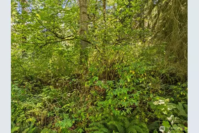 0 Oak Bay Road, Port Ludlow, WA 98365 - Photo 32