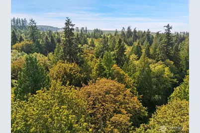 0 Oak Bay Road, Port Ludlow, WA 98365 - Photo 24
