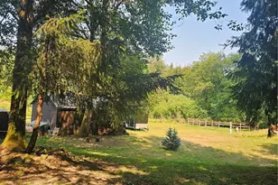 1077 Cline Rd, Randle, WA 98377 - Photo 8