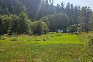 1077 Cline Rd, Randle, WA 98377 - Photo 2