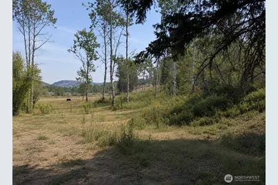 1066 A Ellemeham Mountain Road, Oroville, WA 98844 - Photo 28