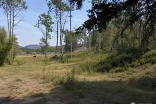 1066A Ellemeham Mountain Rd, Oroville, WA 98844 - Photo 28