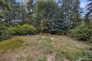 10023 164th St NE, Arlington, WA 98223 - Photo 18