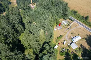 22520 State Route 706 E, Ashford, WA 98304 - Photo 16