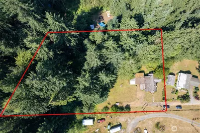 22520 State Route 706 E, Ashford, WA 98304 - Photo 4