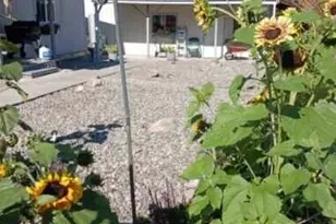 13 Cloudia Ln, Republic, WA 99166 - Photo 28