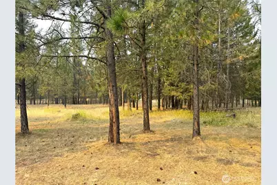 13 Cloudia Lane, Republic, WA 99166 - Photo 30