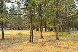 13 Cloudia Ln, Republic, WA 99166 - Photo 30