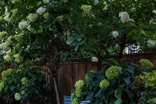 1522 34th Ave, Seattle, WA 98122 - Photo 38