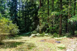 15712 118th St NW, Gig Harbor, WA 98329 - Photo 36