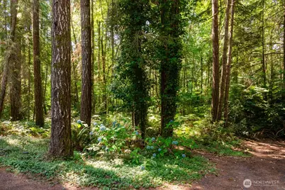 15712 118th Street NW, Gig Harbor, WA 98329 - Photo 30