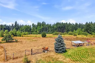 35401 S 40th Ave, Roy, WA 98580 - Photo 36