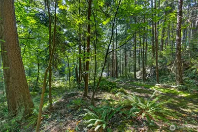0 Nhn Woody Lane W, Anacortes, WA 98221 - Photo 6