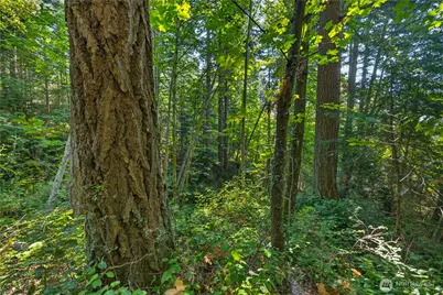 0 Nhn Woody Lane W, Anacortes, WA 98221 - Photo 8