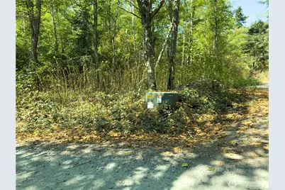 0 Small Lane, Coupeville, WA 98239 - Photo 2