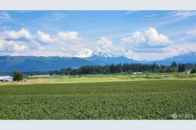 1133 E Pole Road, Everson, WA 98247 - Photo 4
