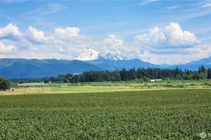 1133 E Pole Rd, Everson, WA 98247 - Photo 4