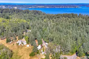 12908 91st Street Ct E, Anderson Island, WA 98303 - Photo 2