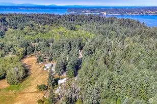 12908 91st Street Ct E, Anderson Island, WA 98303 - Photo 38