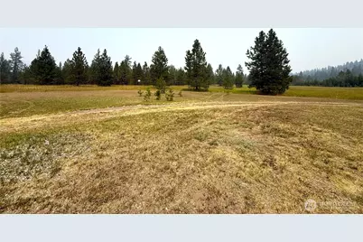90 Gulch Road, Malo, WA 99150 - Photo 2