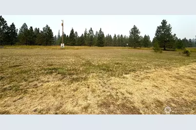 90 Gulch Road, Malo, WA 99150 - Photo 4