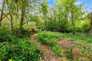 14512 246th St E, Graham, WA 98338 - Photo 22