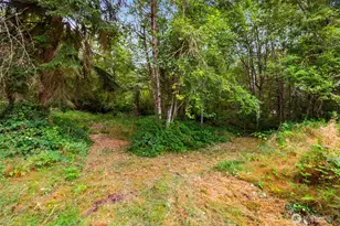 14512 246th St E, Graham, WA 98338 - Photo 20