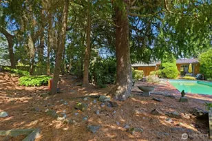 4236 Vassault St, Tacoma, WA 98407 - Photo 8