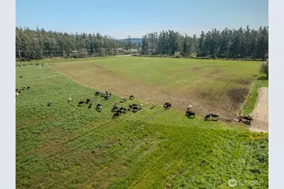 1240 Arnold Road, Oak Harbor, WA 98277 - Photo 38