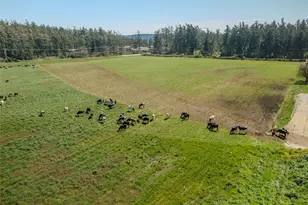 1240 Arnold Rd, Oak Harbor, WA 98277 - Photo 38