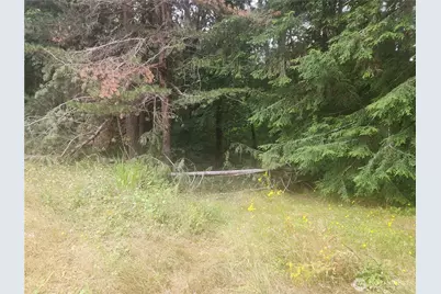 64 Valentine Garden Lane, Montesano, WA 98563 - Photo 34